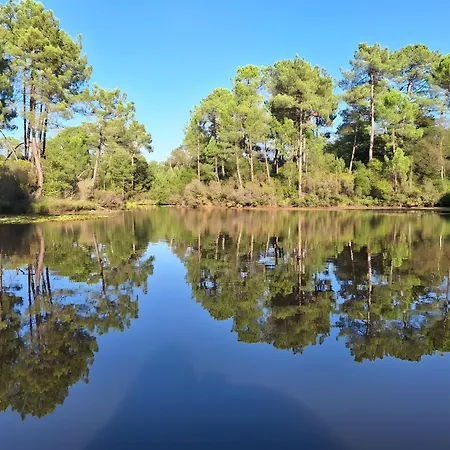 Mimosa - 5 Voyageurs
